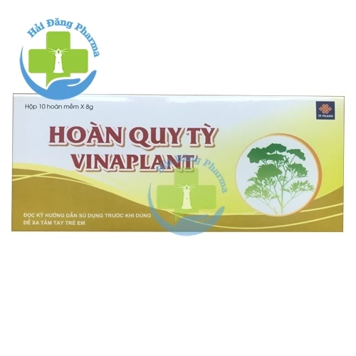 Hoàn quy tỳ Vinaplant - Hộp 10 hoàn x 8g