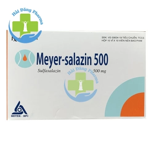 Meyer-salazin 500 - Hộp 10 vỉ x 10 viên