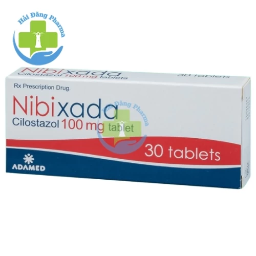 Nibixada 100mg - Hộp 3 vỉ x 10 viên