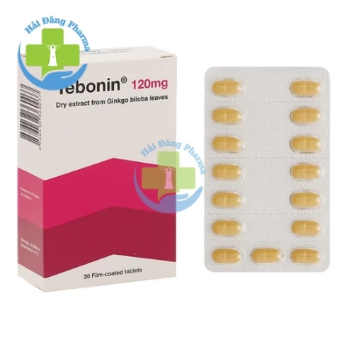 Tebonin - Cao khô lá Bạch quả 120mg Dr. Willmar