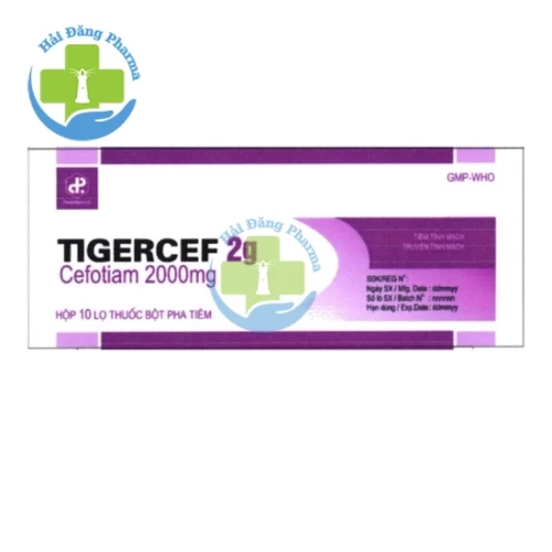 Tigercef 2g - Cefotiam 2000mg Pharbaco
