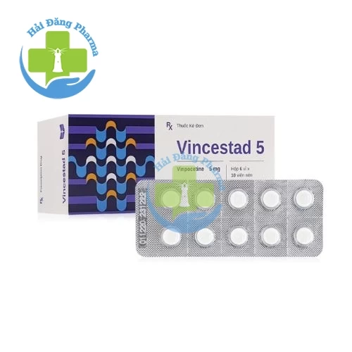 Vincestad 5 - Hộp 6 vỉ x 10 viên