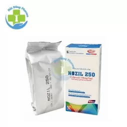 Nozil 250 - Cefprozil Éloge France Việt Nam