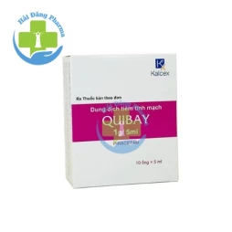 Quibay 1g/5ml - Piracetam 1g/5ml HBM Pharma