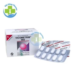 Vicometrim 960 Vidipha