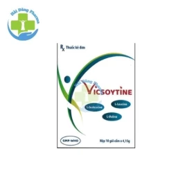 Vicsoytine - Nam Hà